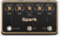 Simulatie van gitaarversterkermodellering Positive grid Spark Pedal