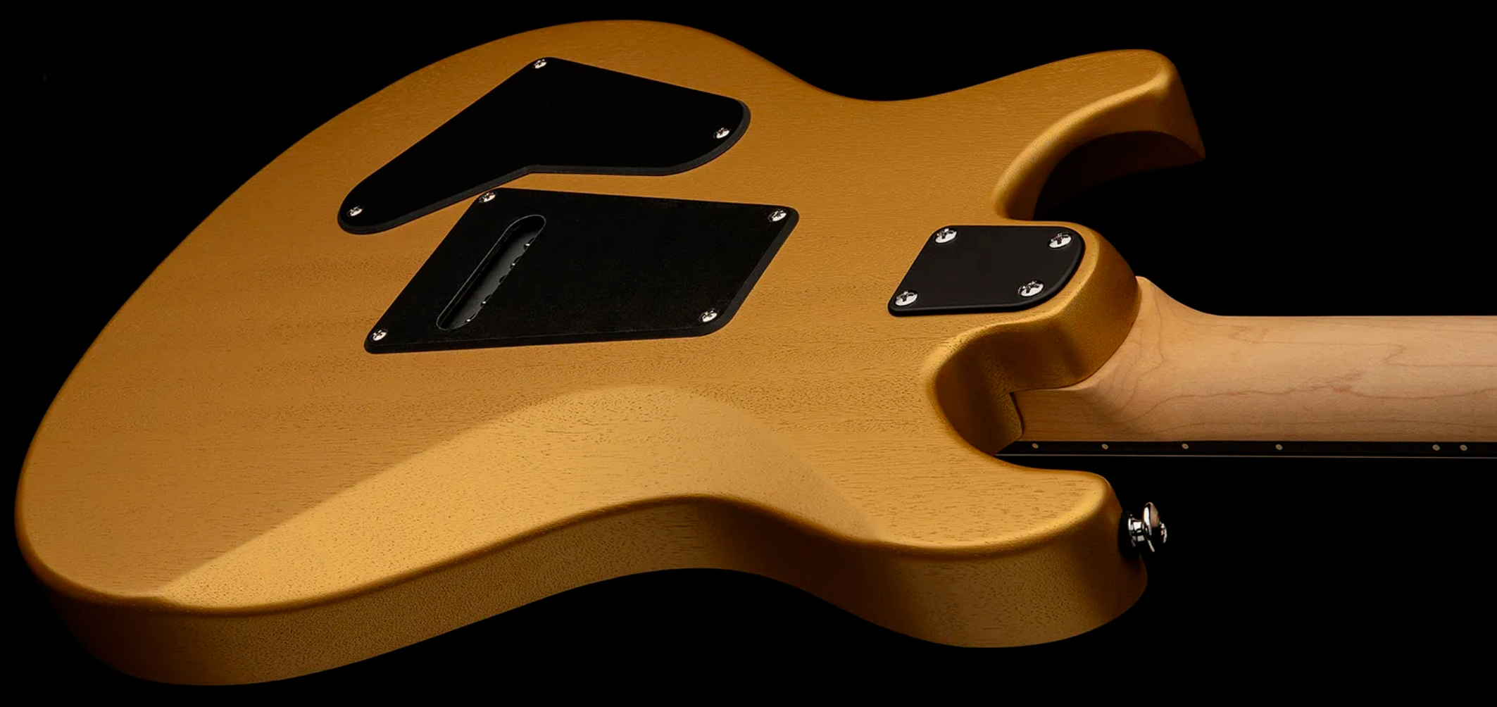 Prs Ce24 Standard Satin Wing Tuners Se Bolt-on 2h Trem Rw - Metallic Gold - Double cut gitaar - Variation 4