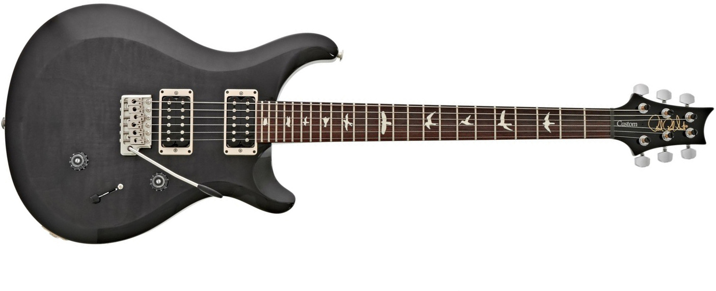Prs S2 Custom 24 Usa Hh Trem Rw - Elephant Gray - Guitarra eléctrica de doble corte. - Main picture