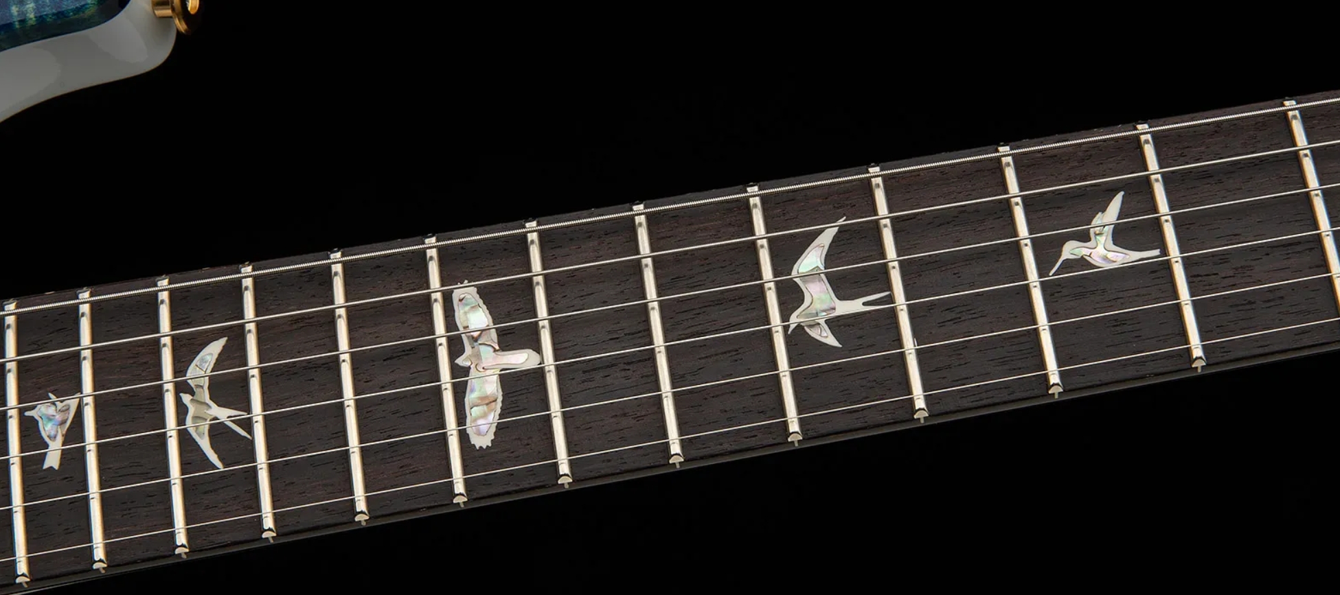 Prs Custom 24-08 Usa 2h Tci Trem Rw - River Blue Pearl - Double cut gitaar - Variation 4