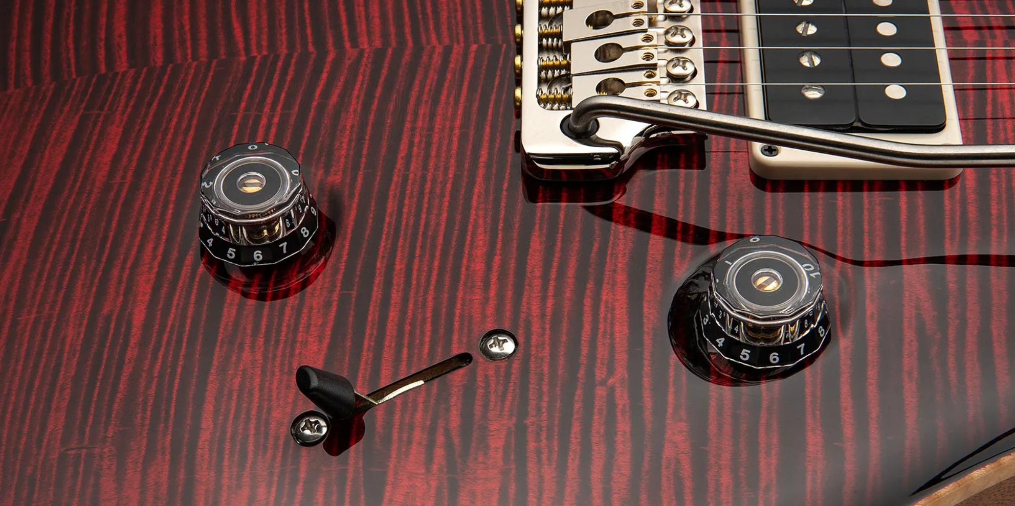 Prs Custom 24 Birds Of A Feather Usa Ltd 2h Trem Eb/mn - Blood Red - Double cut gitaar - Variation 4
