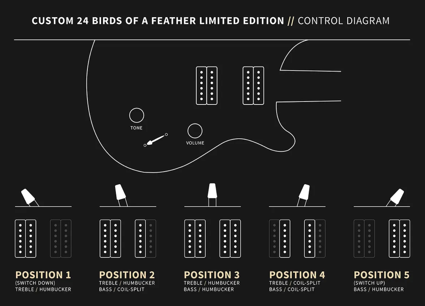 Prs Custom 24 Birds Of A Feather Usa Ltd 2h Trem Eb/mn - Blood Red - Double cut gitaar - Variation 7