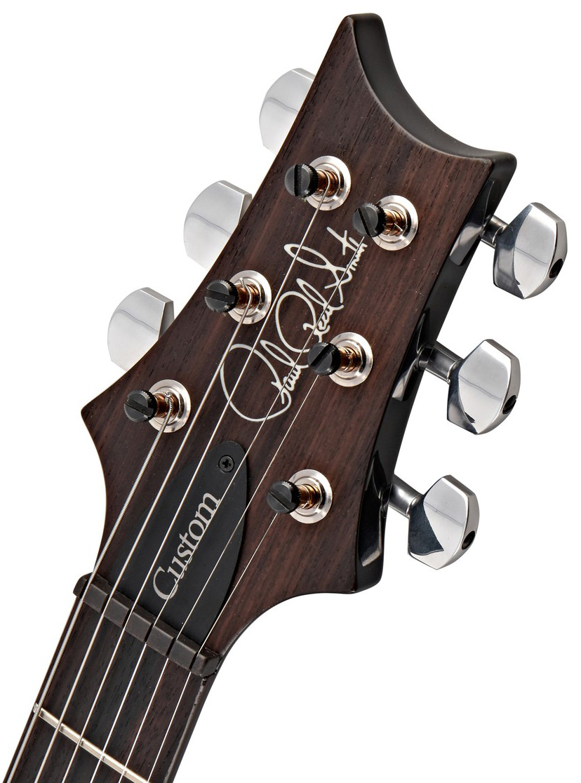 Prs Custom 24 Usa 2h Trem Rw - Eriza Verde - Guitarra eléctrica de doble corte. - Variation 5