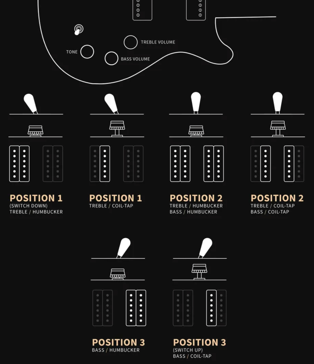 Prs David Grissom Dgt Se Signature 2h Trem Rw - Gold Top Moon Inlays - Double cut gitaar - Variation 3