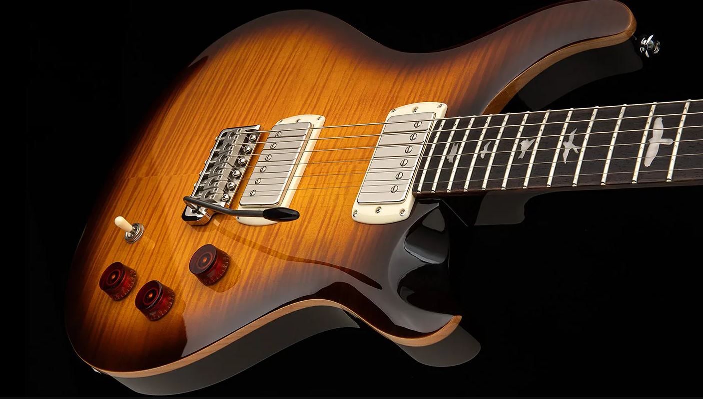 Prs David Grissom Dgt Se Signature Birds 2h Trem Rw - Mccarty Tobacco Sunburst - Double cut gitaar - Variation 5