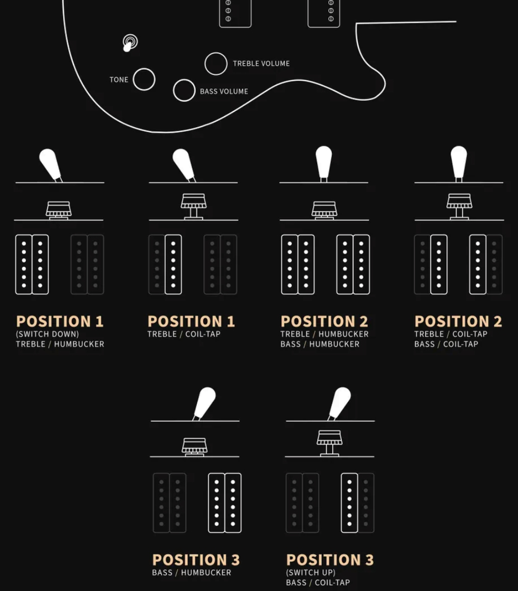 Prs David Grissom Dgt Usa Signature 2h Trem Rw - Gold Top Moon Inlays - Double cut gitaar - Variation 2