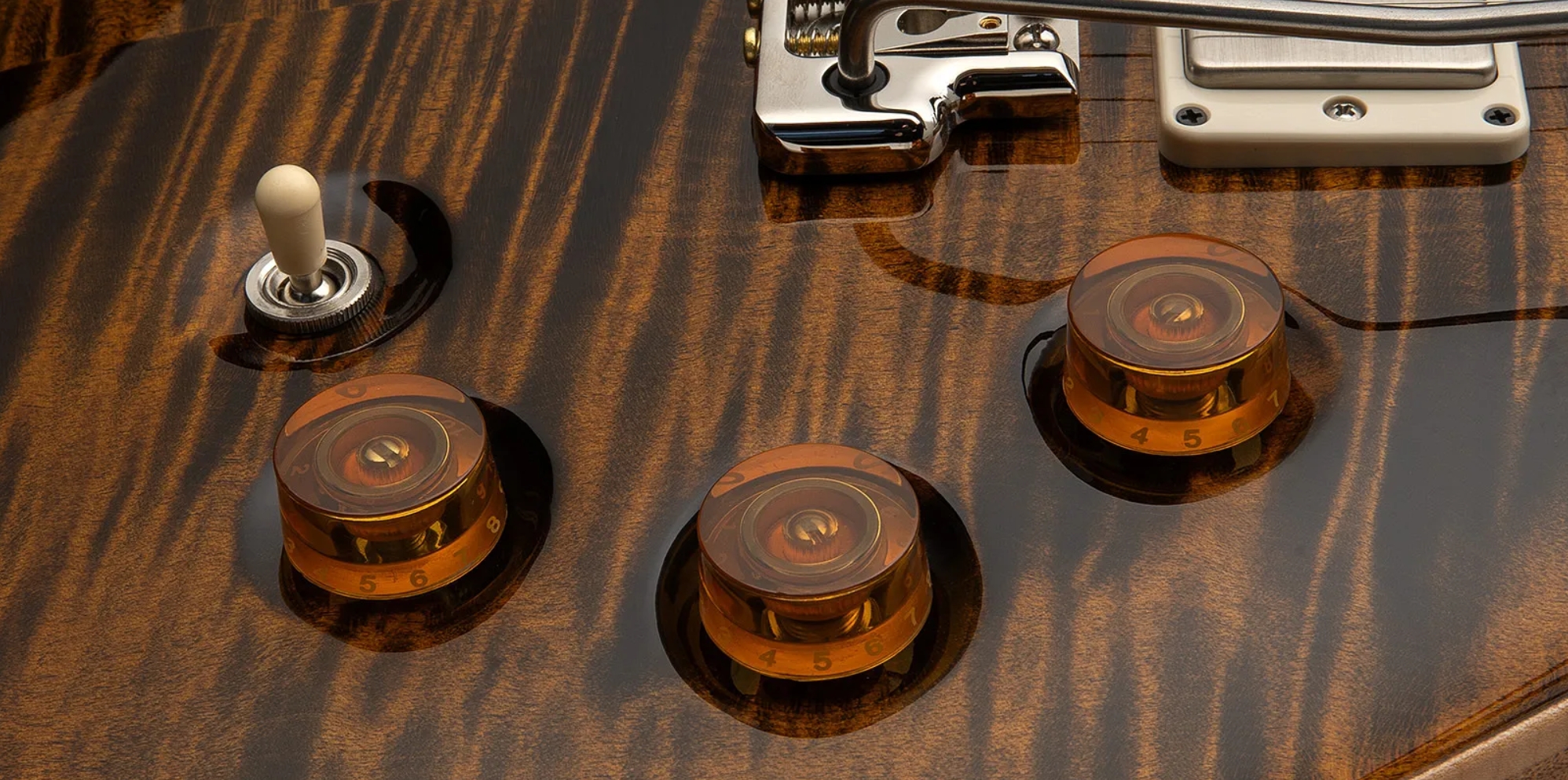 Prs David Grissom Dgt Usa Signature 2h Trem Rw - Tiger Eye - Double cut gitaar - Variation 3