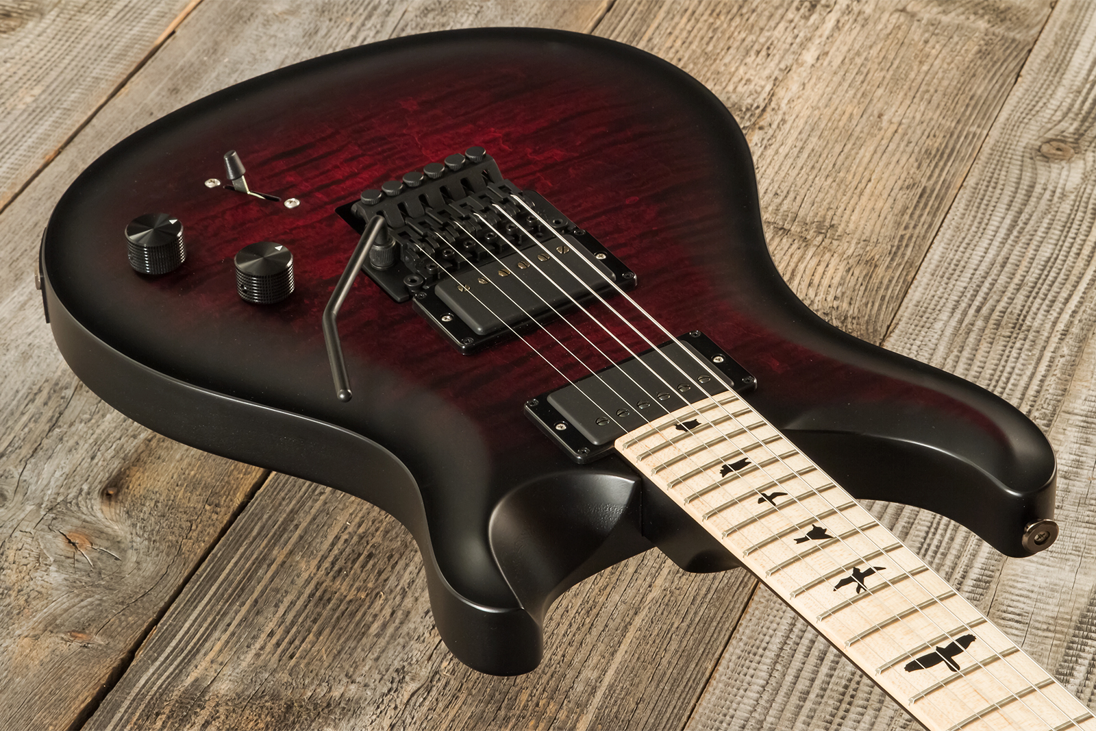 Prs Dustie Waring Dw Ce 24 Floyd Bolt-on Usa Signature 2h Fr Mn - Waring Smokeburst - Double cut gitaar - Variation 2