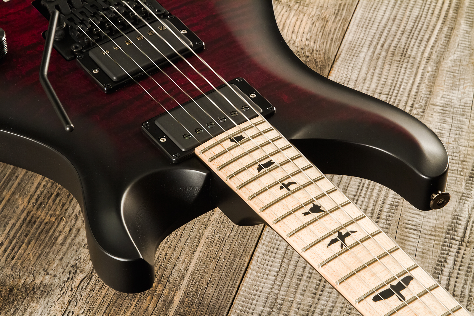 Prs Dustie Waring Dw Ce 24 Floyd Bolt-on Usa Signature 2h Fr Mn - Waring Smokeburst - Double cut gitaar - Variation 4