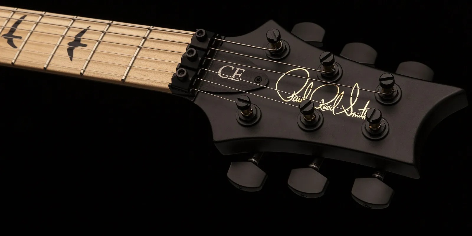 Prs Dustie Waring Dw Ce 24 Floyd Bolt-on Usa Signature 2h Fr Mn - Waring Burst - Guitarra eléctrica de doble corte. - Variation 6