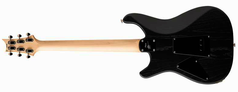 Prs Fiore Hh Satin Bolt-on Usa 2h Trem Rw - Black Hyacinth - Double cut gitaar - Variation 1