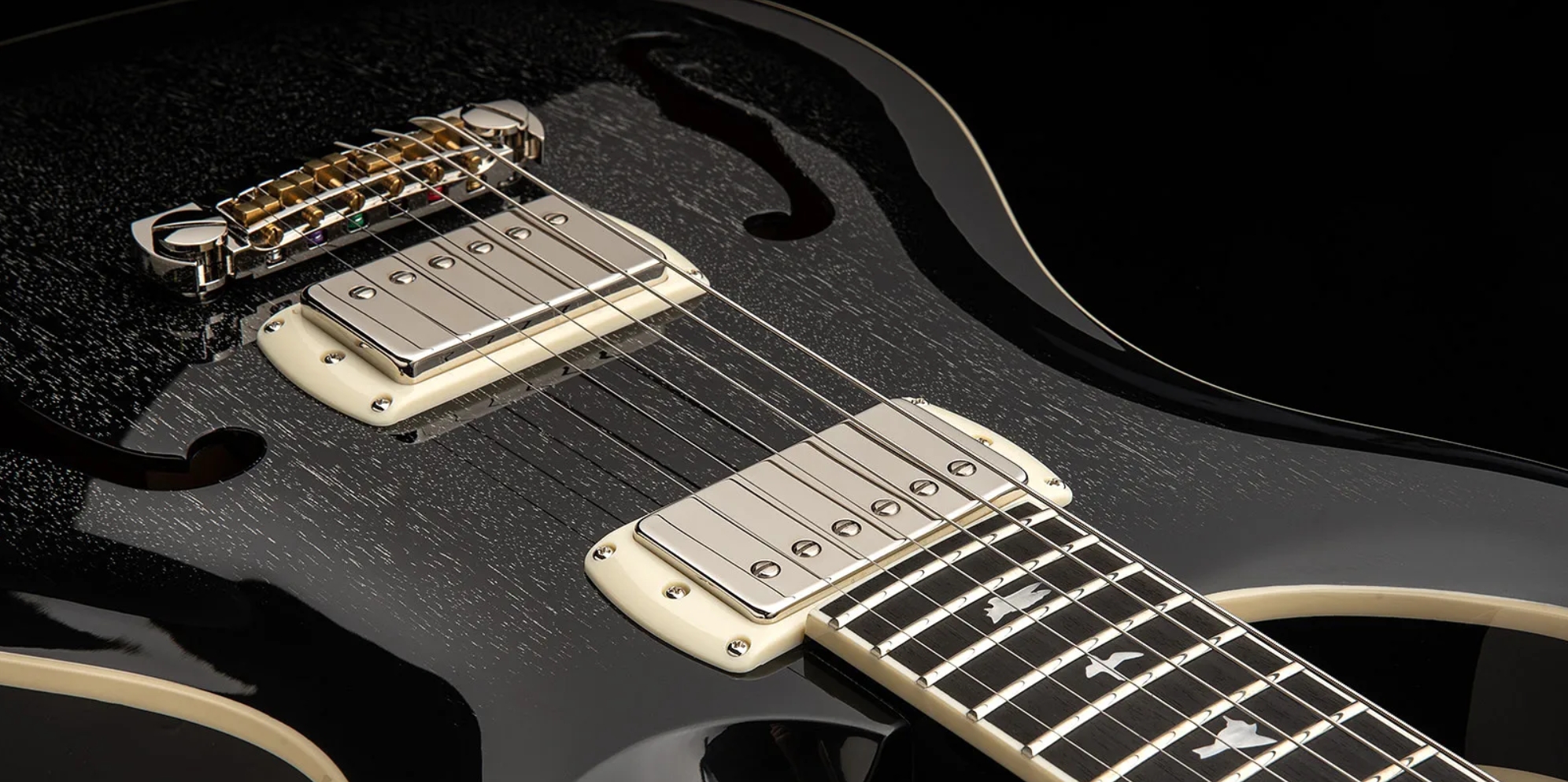 Prs Hollowbody Standard Se 2h Ht Eb - Dog Hair Smokeburst - Semi hollow elektriche gitaar - Variation 4