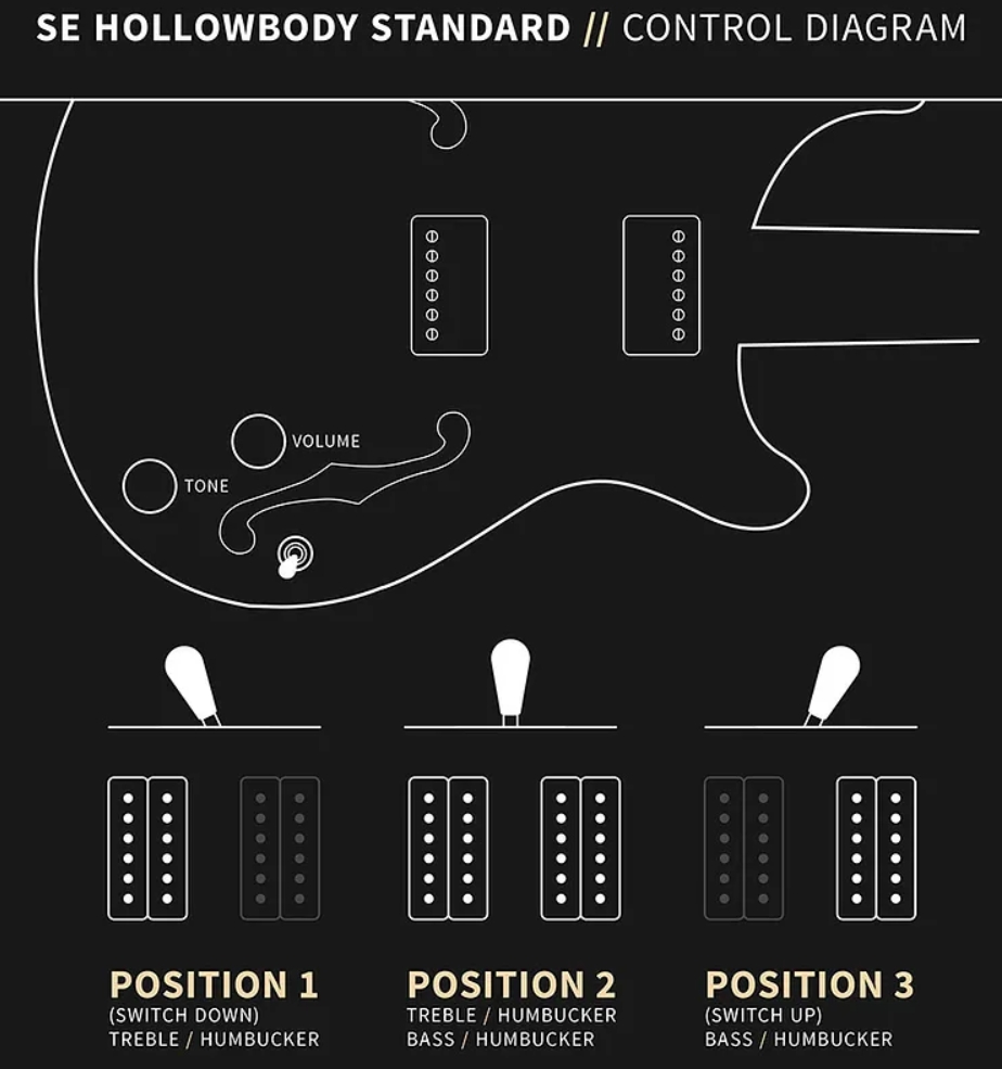 Prs Hollowbody Standard Se 2h Ht Eb - Dog Hair Smokeburst - Semi hollow elektriche gitaar - Variation 6