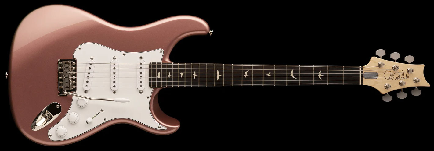 Prs John Mayer Silver Sky Usa Signature 3s Trem Rw - Midnight Rose - Elektrische gitaar in Str-vorm - Variation 1