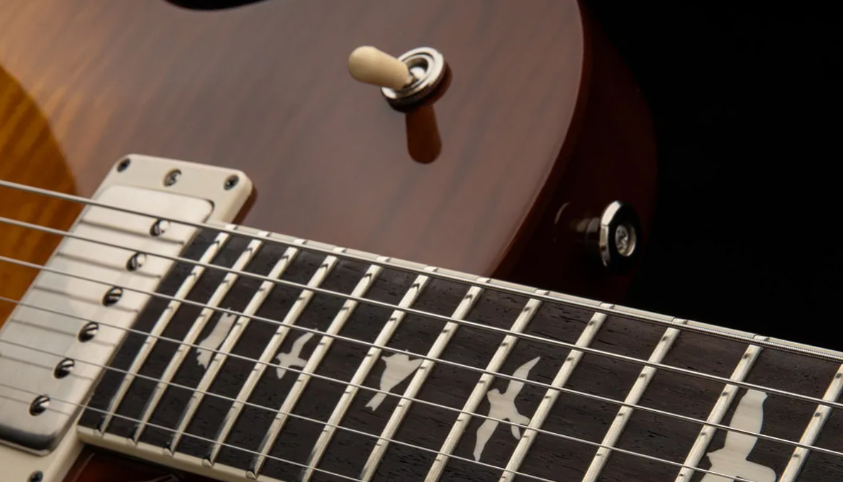 Prs S2 Mccarty 594 Singlecut Usa 2h 58/15lt Ht Rw - Honey Gold Burst - Single cut gitaar - Variation 3