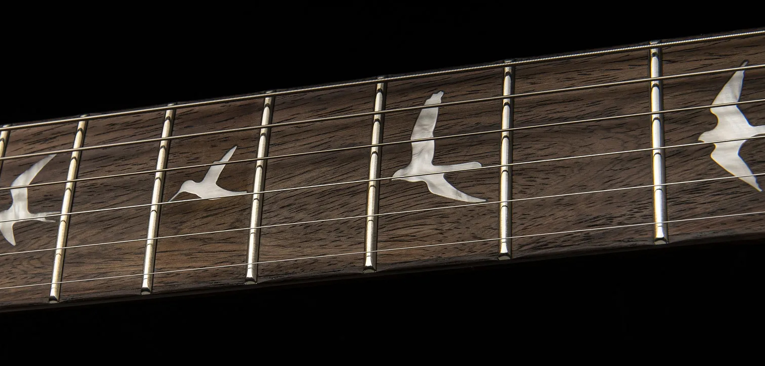 Prs Se Custom 24 2023 2h Trem Rw - Charcoal - Guitarra eléctrica de doble corte. - Variation 3
