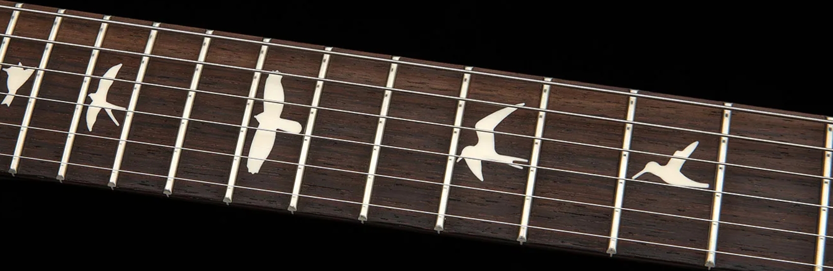 Prs Standard 22 S2 Usa 2h Trem Rw - Metallic Midnight - Double cut gitaar - Variation 3