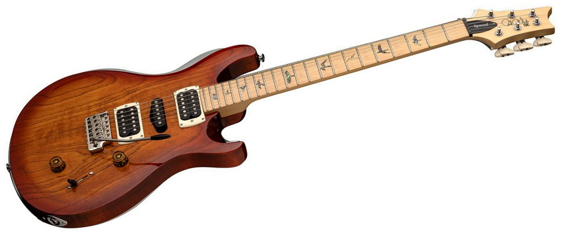 Prs Swamp Ash Special Se (wing Tuners) Hsh Trem Mn - Vintage Sunburst - Double cut gitaar - Variation 1