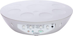 Tonguedrum en handpan Roland MN-10 Mood Pan