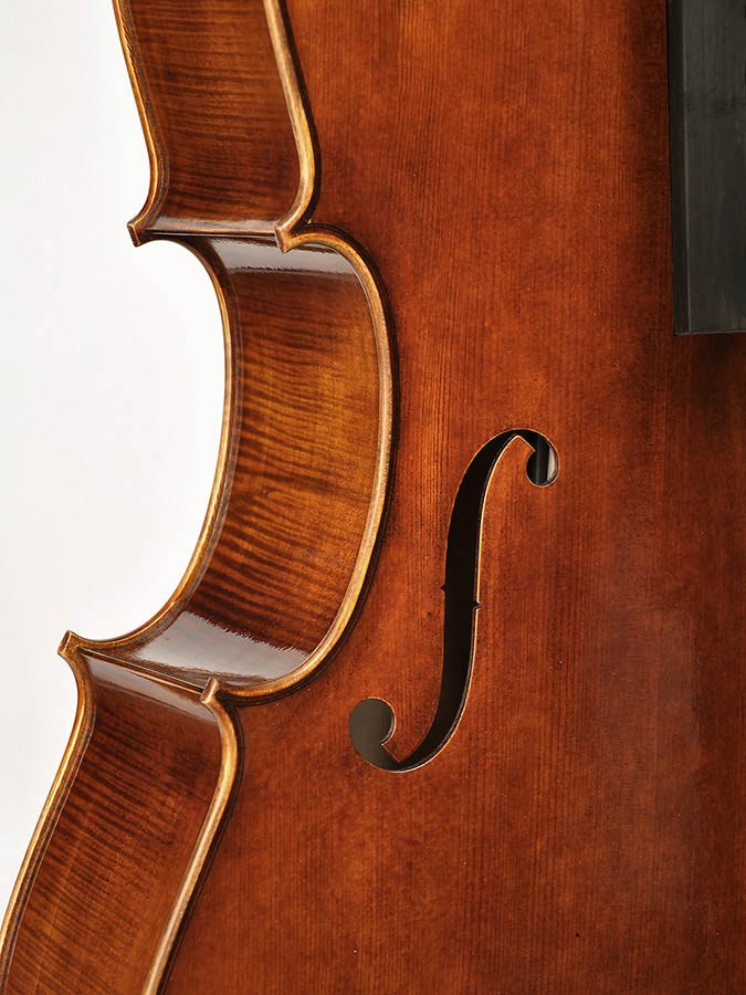 Rudolph Violoncelle 4/4 - Akoestische cello - Variation 4