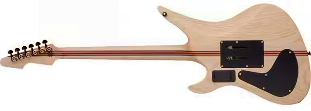 Schecter Avenger Fr-s 50th Ann. 2h Sustainiac Fr Eb - 50th Gold Burst - Metal elektrische gitaar - Variation 1