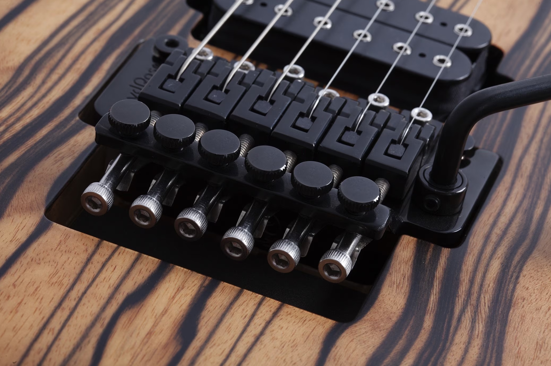 Schecter C1 Fr-s Pale Moon 2h Sustainac Fr Ric - Natural Satin Black Burst - Elektrische gitaar in Strat vorm - Variation 4