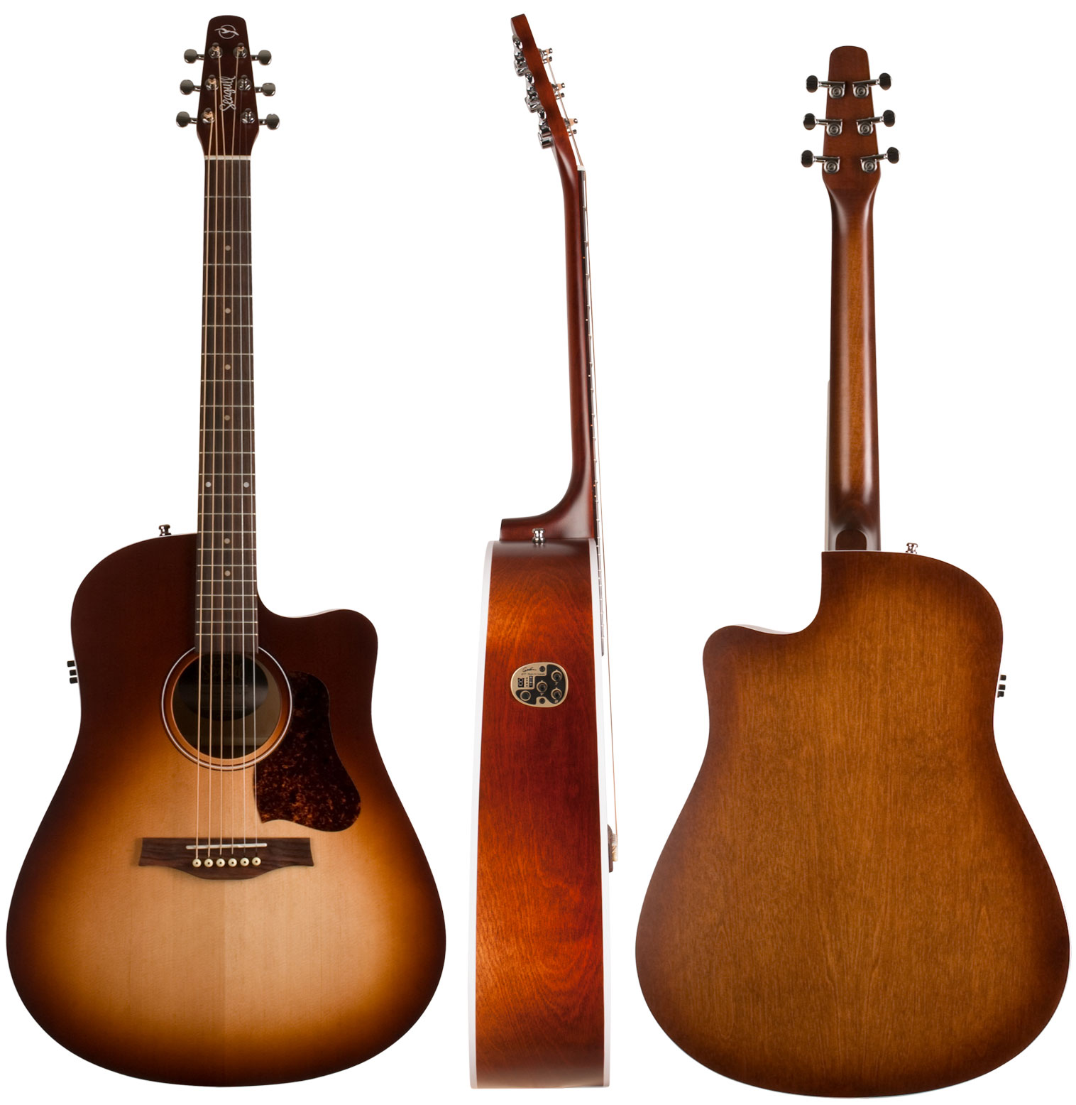 Seagull Entourage Cw Qit Dreadnought Epicea Merisier - Autumn Burst - Elektro-akoestische gitaar - Variation 1