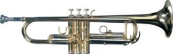 Professionele trompet Sml TP300