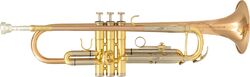 Studie trompet Sml Trompette Sib TP600