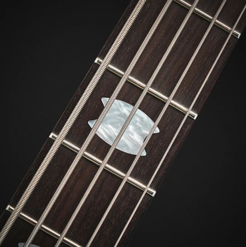 Spector Icon Ns-2 Bolt-on 5-cordes Rw - Black Stain Gloss - Solid body elektrische bas - Variation 3