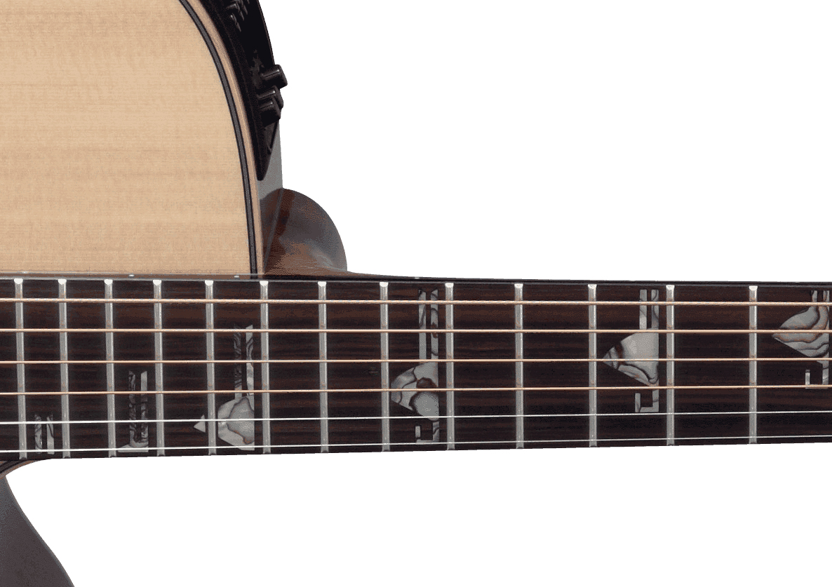 Takamine Dsf48c Nex Jap Epicea Palissandre Eb Ctf2n - Natural - Folk gitaar - Variation 2