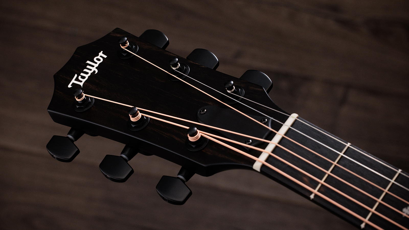 Taylor 214ce Plus Special Edition Grand Auditorium Cw Epicea Noyer Eb Es2 - Grey - Folk gitaar - Variation 8