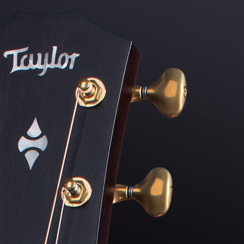 Taylor 324ce Builder's Edition V-class 2019 Grand Auditorium Cw Acajou Urban Ash Eb Es2 - Natural - Elektro-akoestische gitaar - Variation 5