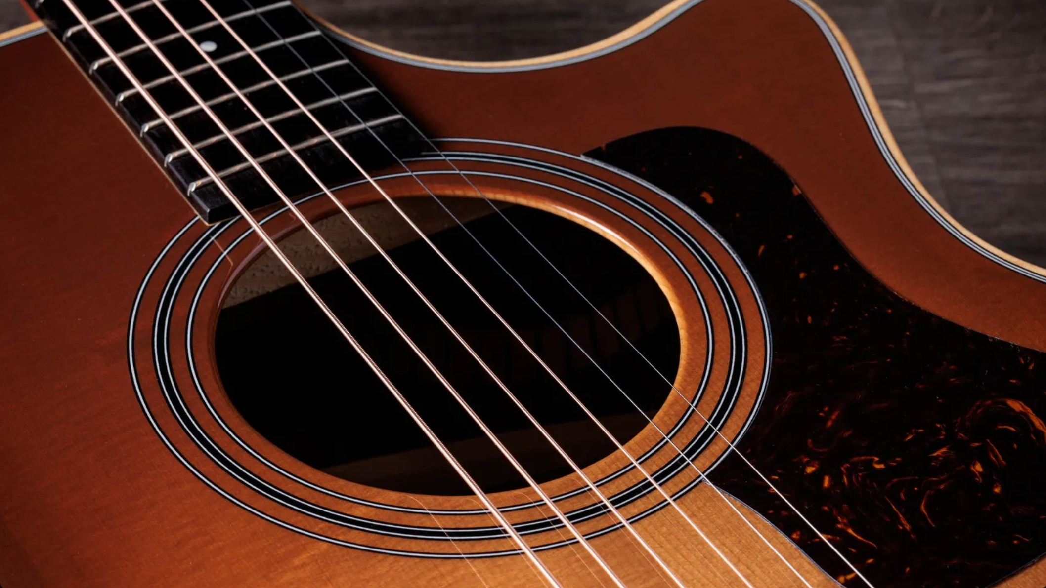 Taylor 414ce Studio Special Edition Grand Auditorium Cw Epicea Palissandre Eb Es2 - Honeyburst - Folk gitaar - Variation 3