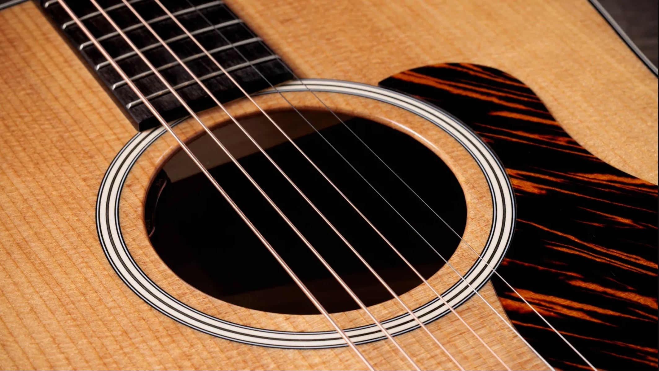 Taylor 510e Gold Label Dreadnought Epicea Acajou Eb - Natural - Folk gitaar - Variation 2