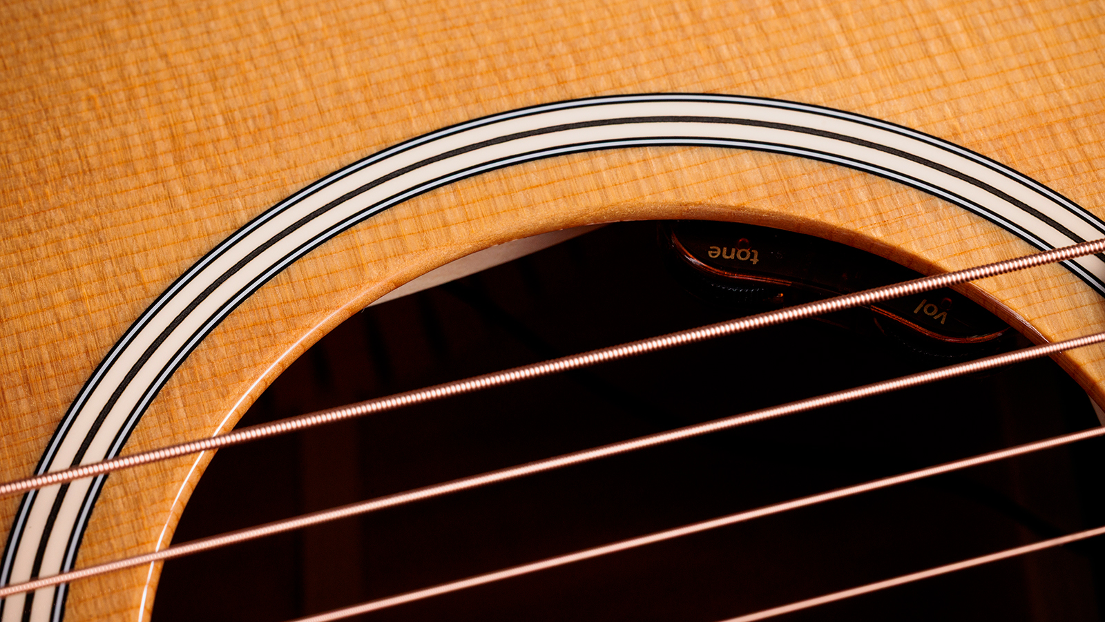 Taylor 512e Gold Label Grand Concert Cw Epicea Acajou Eb Lr Baggs - Natural - Folk gitaar - Variation 5