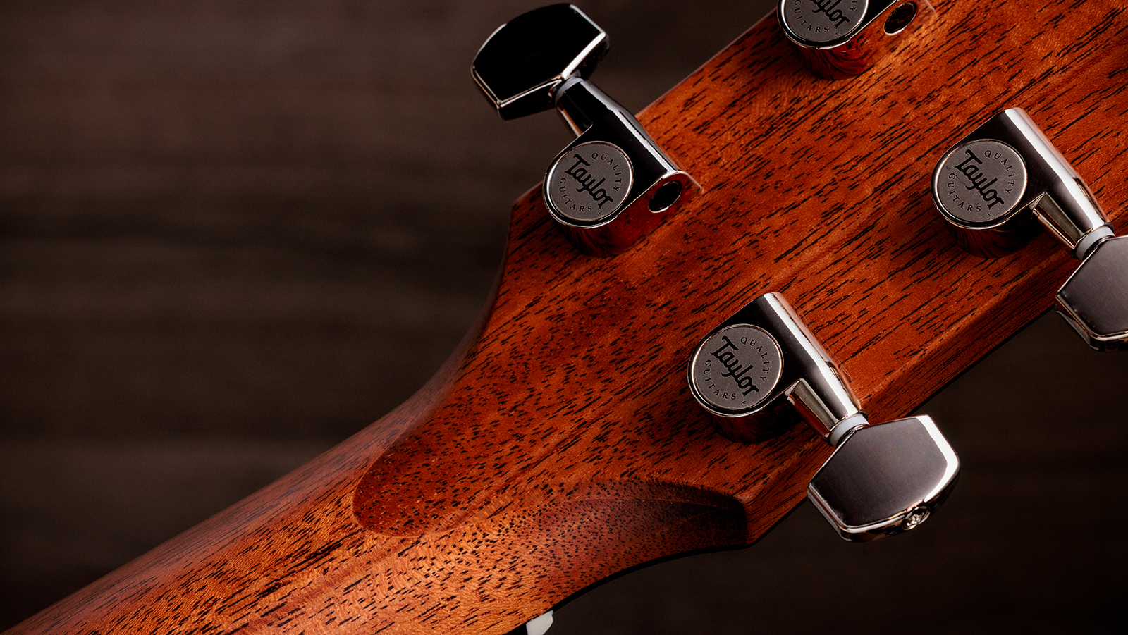 Taylor 512e Gold Label Grand Concert Cw Epicea Acajou Eb Lr Baggs - Natural - Folk gitaar - Variation 8