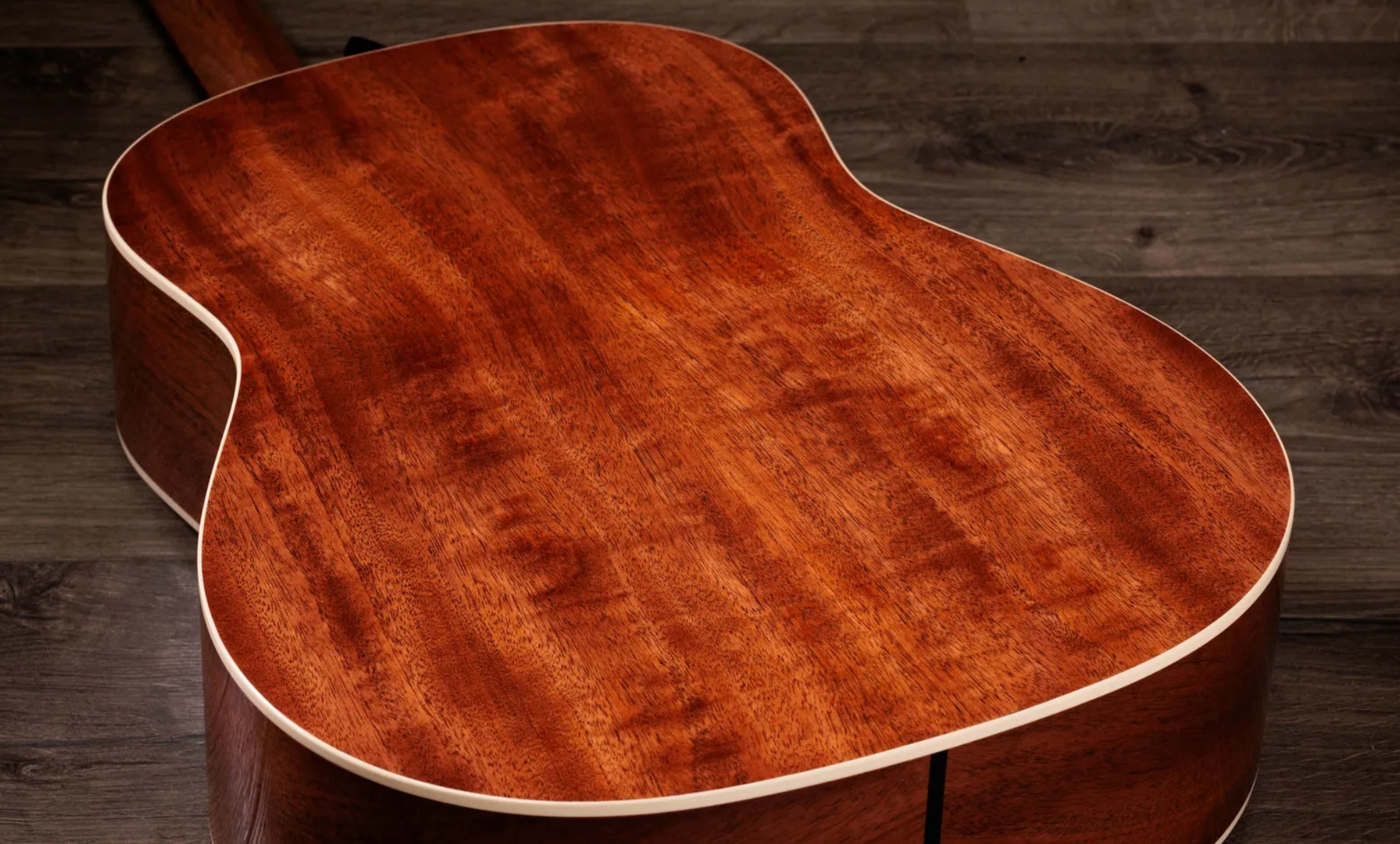 Taylor 517e Gold Label Grand Pacific Epicea Acajou Eb - Natural - Folk gitaar - Variation 7