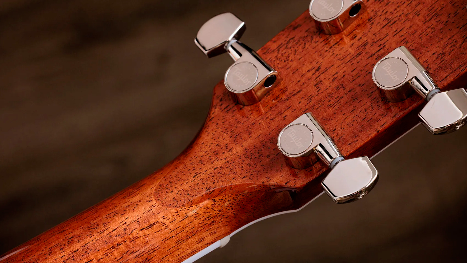 Taylor 810e Legacy Dreadnought Epicea Palissandre Eb Lr Baggs Vtc - Natural - Folk gitaar - Variation 8