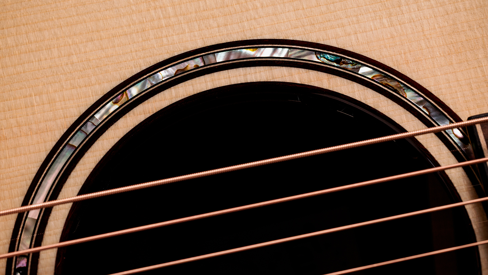 Taylor 814ce Builders Edition Next Gen. Grand Auditorium Cw Tout Epicea Palissandre Eb Claria - Natural - Folk gitaar - Variation 4