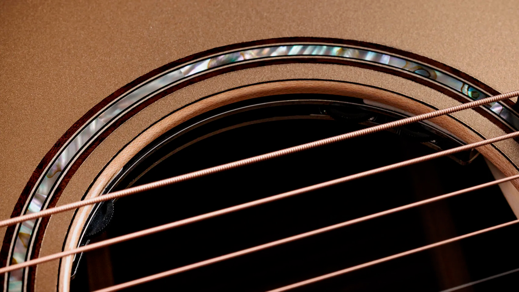 Taylor 814ce Ltd Casablanca Beige Top - Casablanca Beige Metallic - Folk gitaar - Variation 5