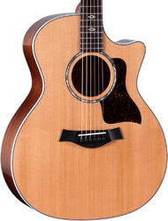 Folk gitaar Taylor Next Generation 514CE - Natural