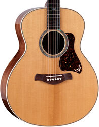 Volksgitaar Taylor Gold Label 814e - Natural