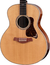 Gold Label 814e Koa - natural