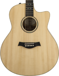 Volksgitaar Taylor Custom GO-ce Ltd #1111219112 - Natural