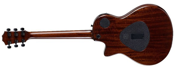 Taylor T5z Standard Epicea Sapele Eb - Honey Sunburst - Semi hollow elektriche gitaar - Variation 1
