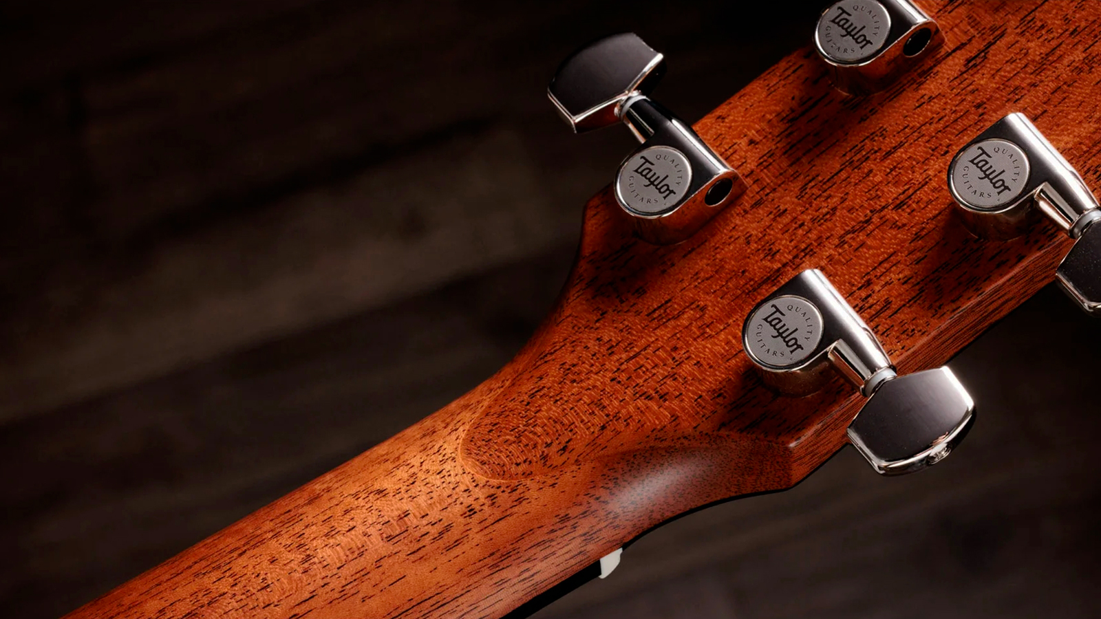 Taylor Trey Hensley 510e Special Ed. Gold Label Dreadnought Epicea Acajou Eb - Antique Blond - Folk gitaar - Variation 9