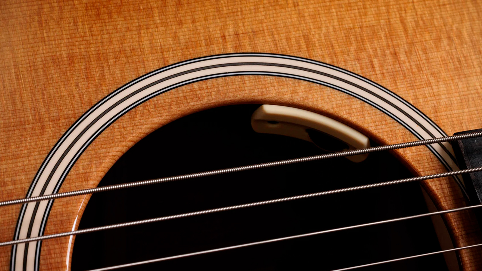 Taylor Trey Hensley 510e Special Ed. Gold Label Dreadnought Epicea Acajou Eb - Antique Blond - Folk gitaar - Variation 4