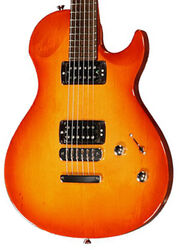 G.V. Rock HH Rosewood - amber