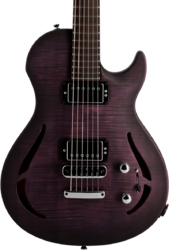 Semi hollow elektriche gitaar Vigier                         G.V. Wood Hollow - Purple fade